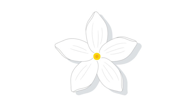 Elegant white jasmine flower with a yellow center presented as a clean vector illustration against a crisp white backdrop casting a subtle shadow