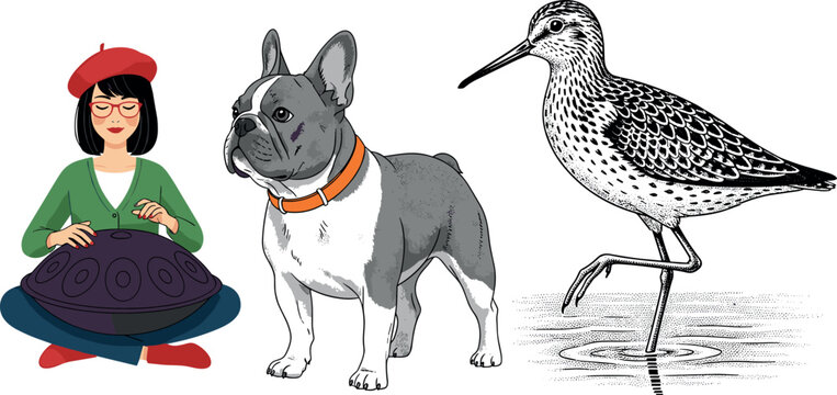 French bulldog dog illustration with musician woman and shorebird engraving style vector collection isolated background