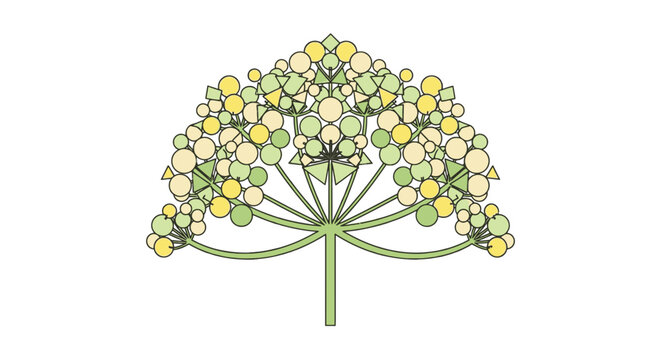 Dill flower inflorescence umbel arrangement in green yellow and cream color palette featuring circles triangles and diamond shapes on white