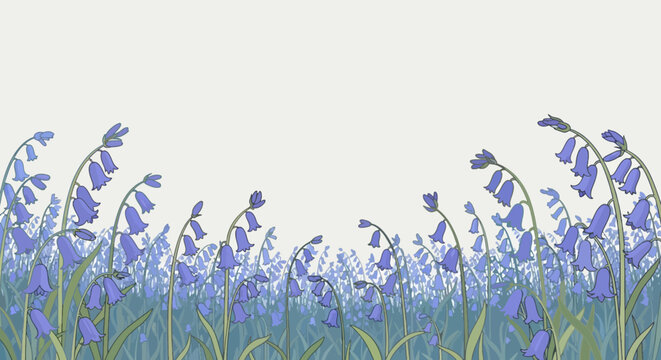 Illustration of a field of stylized bluebell flowers with slender stems and green leaves on a light background