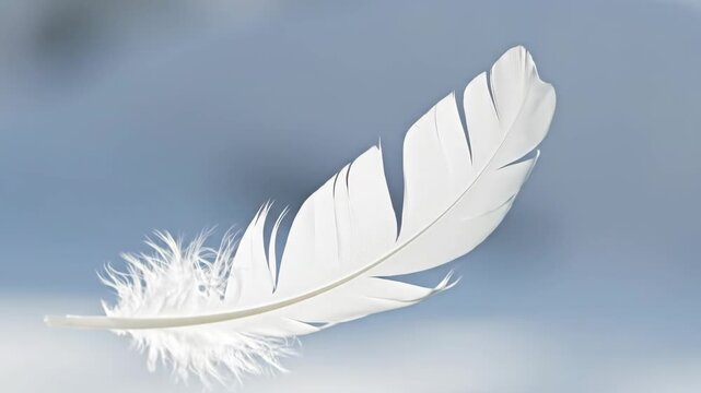 White feather floating in air.