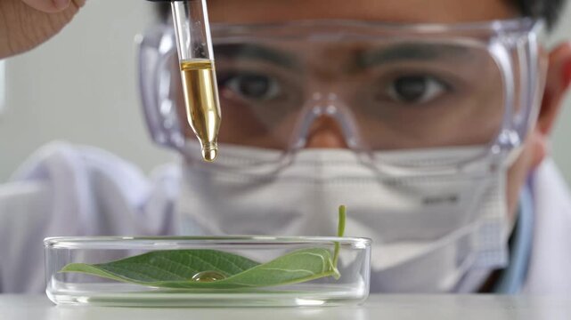 Scientist in protective goggles and mask conducting a precision experiment by applying a liquid to a plant leaf in a petri dish