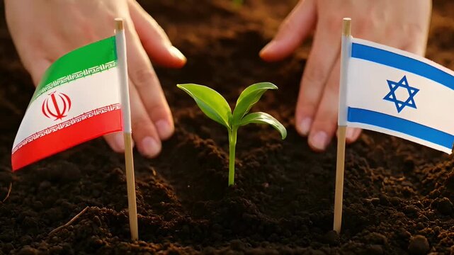 hands tending to a green sprout between small flags of iran and israel on soil symbolizing hope for peace and diplomacy
