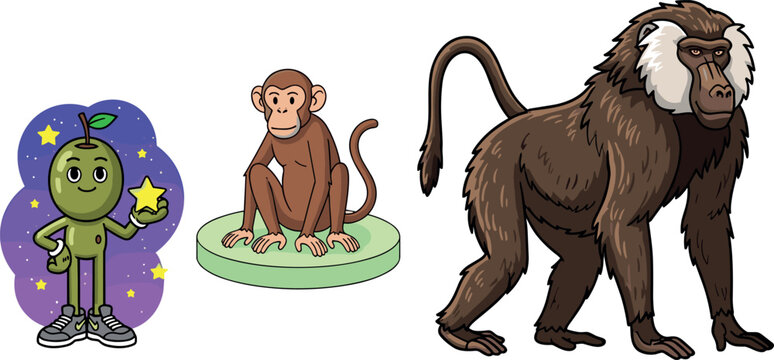 Monkey and baboon character set with cartoon cute mascot and realistic wildlife vector illustration collection isolated