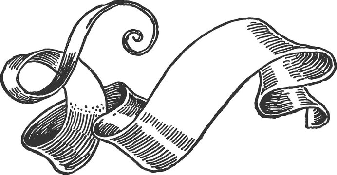 Vintage ribbon scroll banner engraving illustration
