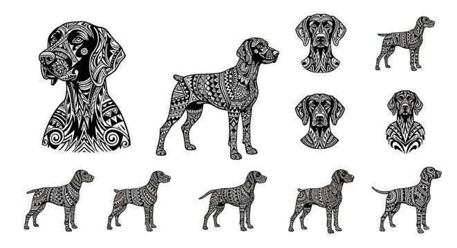 Detailed patterned German Shorthaired Pointers in different poses