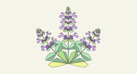 Lavender Flower Purple Blooming Plant. © ajji