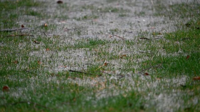 Heavy rain flooding a grassy lawn with visible water flow and ripples. Outdoor scene showing storm impact, Slow motion