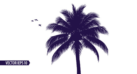 Fototapeta premium Dark Purple Silhouette Palm Tree with Birds Flying on White Background