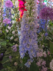 Obraz premium Flowers and floral arrangements in various combinations.