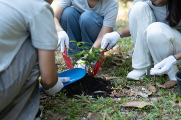 Group of Asian people planting seedling in forest © Wanda