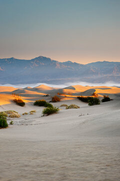 Sand DesertDesert Sand Dunes in Death Valley, Nevada, USA	