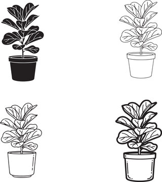 Rubber Plant Fiddle Leaf Fig Vector Set, Indoor Houseplant Botanical Illustration Collection, Black and White Potted Plant Clipart