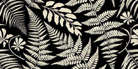 Elegant botanical illustration of fern leaves against a dark background © Nasir