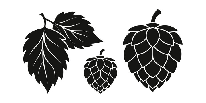Vector hop cone and vine silhouettes close up set of brewery hop leaves and cones minimalist flat black isolated studio