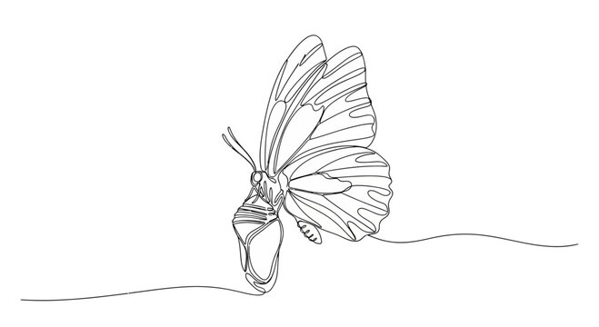 Elegant continuous line drawing depicting a butterfly emerging from its chrysalis, symbolizing metamorphosis, growth, and new life stages for natureinspired designs.