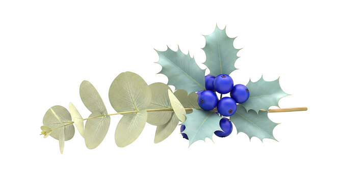 Eucalyptus Branch with Holly and Blue Berries