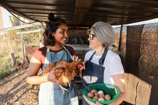 Women conversing with farm chicken and fresh eggs