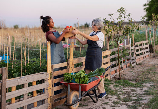 Women sharing fresh organic vegetables from community garden