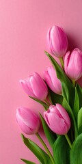 Fototapeta premium Pink tulips with green leaves on a pink paper background. Minimalist flat lay composition with copy space.