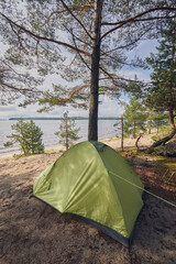 Tourist tent in a pine forest on the shore of a lake © ILIA