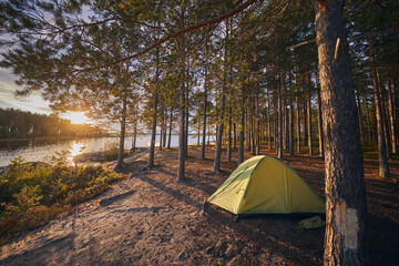 Tourist tent in a pine forest on the shore of a lake at sunset © ILIA