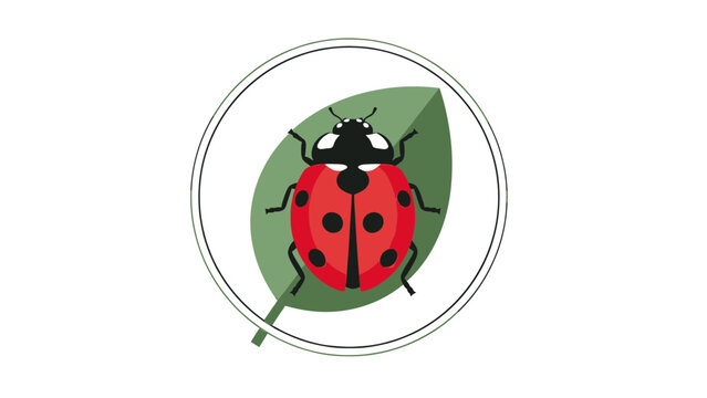 A minimalist red ladybug with black spots sits on a green leaf within concentric circles
