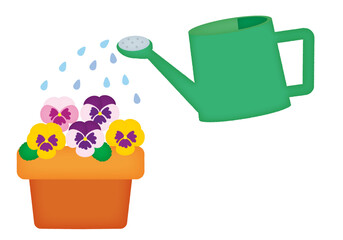 パンジーにじょうろで水をあげるイラスト/An illustration of watering pansies with a watering can. © Moe Hosokawa
