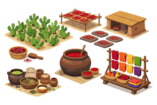 Ancient cochineal dye production process from cactus to colorful textiles