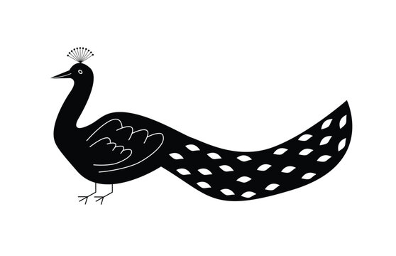 Elegant peacock silhouette vector isolated on white background.