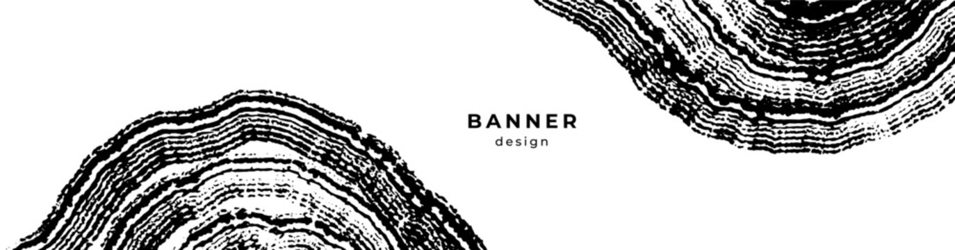 Banner with wood annual rings texture. Black and white template with tree ring pattern. Grunge background. Stamp of tree trunk in section. Wooden concentric circles