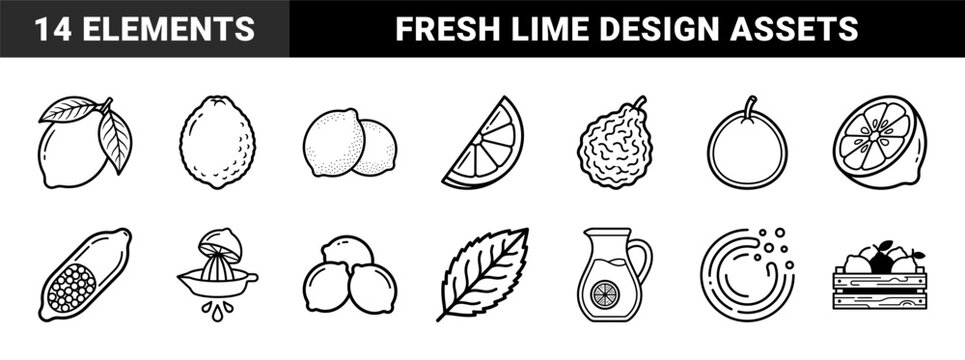 Citrus Fruit Minimalist Line Art Kit