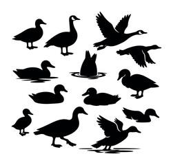 Fototapeta premium Waterfowl collection featuring ducks and geese, useful as icons, symbols, or elements for graphic design projects
