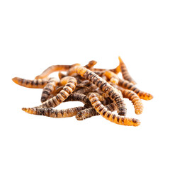 Naklejka premium Dried edible buffalo worms arranged in cluster isolated on transparent background
