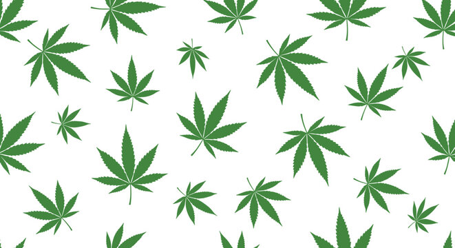 Cannabis Leaf Pattern Seamless Background with Green Marijuana Leaves Repeating Botanical Texture for Textile Packaging and Modern Design Use.