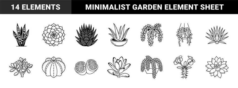 Succulent Botanical Line Art Graphic Set