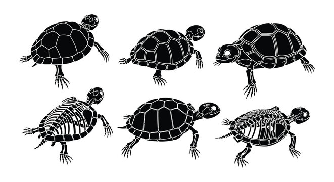 Four black silhouettes of turtles in various walking poses