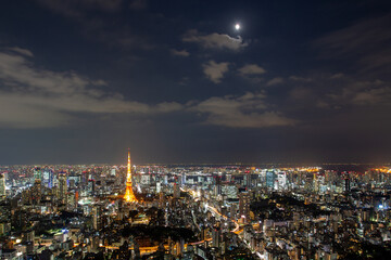 Fototapeta premium Tokyo, Japan. Night view from Roppongi hills observation deck