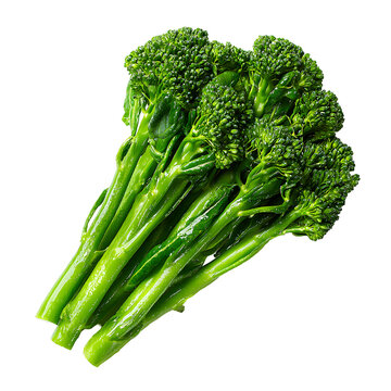 Fresh green broccolini bunch isolated on transparent background