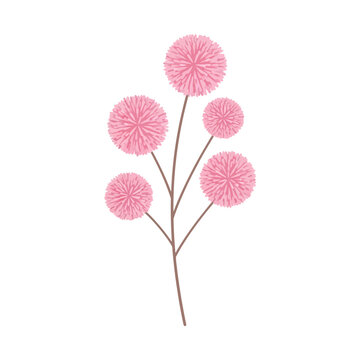 Simple flat 2D pastel vector illustration of silk tree blossom