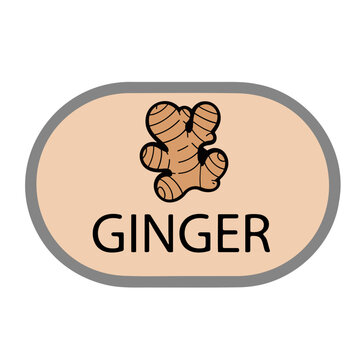 A vector graphic illustration of a ginger root logo on a beige oval background