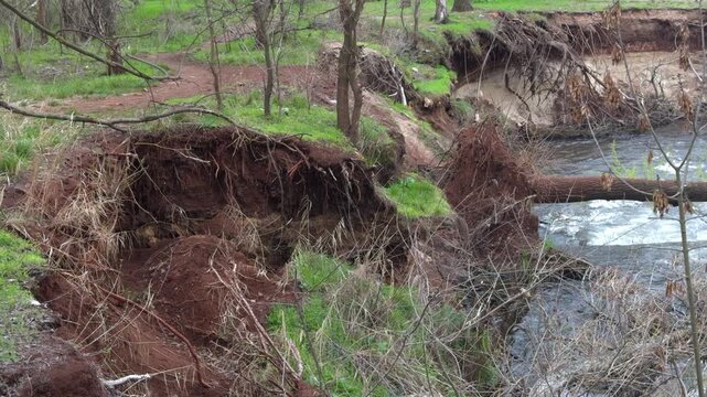 Collapsed riverbank after flooding, uprooted trees, fallen trunks, turbulent stream
