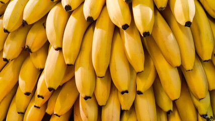 A full frame closeup of a large bunch of vibrant yellow bananas, creating a textured background. Natural lighting highlights the fresh, ripe fruit for concepts of health, abundance, and nutrition © Анатолий Еремин