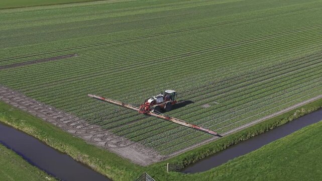 Aerial view of agricultural machinery working on crops in neatly furrowed rows, creating a geometric pattern of verdant lines, Opmeer, North Holland, Netherlands.
