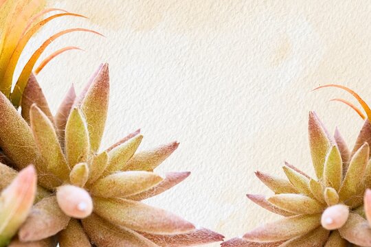Soft-toned succulents frame a gentle, textured background. Petals blush with warm hues, blending earthy tones softly. Natural light highlights subtle ridges and dew-kissed surfaces