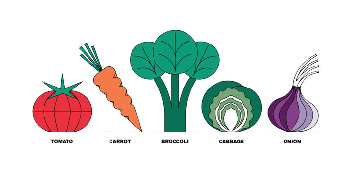Collection of modern linear style vegetable icons featuring tomato carrot broccoli cabbage onion vegetables broccoli nutrition ingredient agriculture vegetarian colorful
