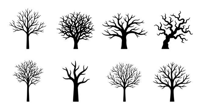 Black tree silhouettes with bare branches, set of 8 winter tree vector icons, leafless oak and maple shapes for landscape design and spooky decor