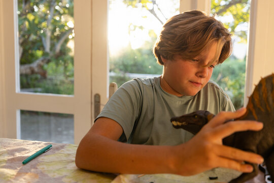 12 year old boy playing with model dinosaur at home at sunset