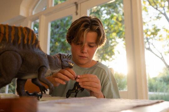 12 year old boy playing with model dinosaur at home at sunset