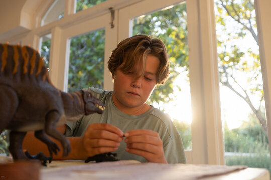 12 year old boy playing with model dinosaur at home at sunset